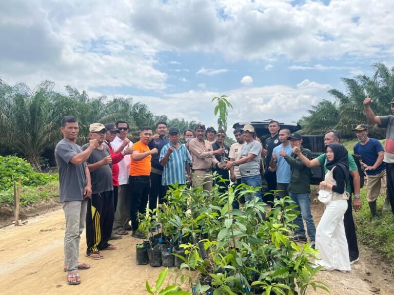 DPD AMPHIBI Kabupaten Batu Bara Tanam 1.000 Pohon Peringati Hari Tanam Pohon Sedunia 2025