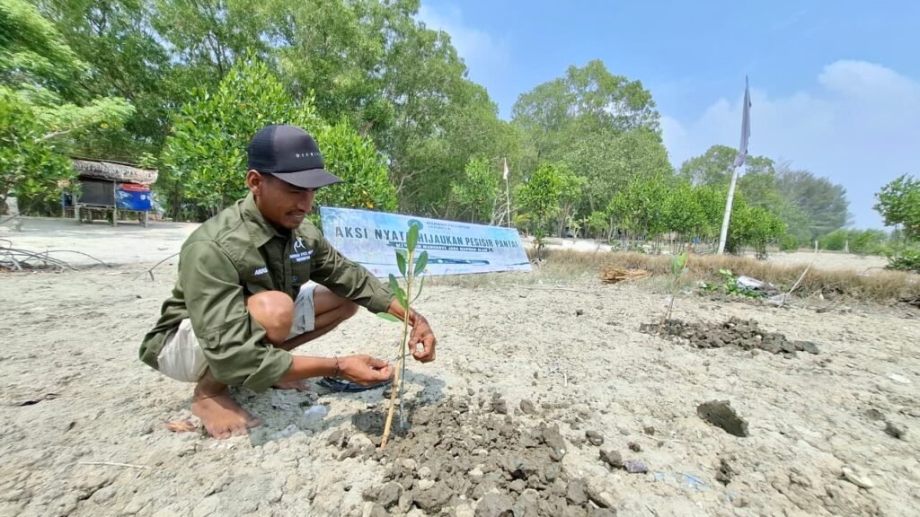 SERIBU AKAR DITANAM, SERIBU HARAPAN DITITIPKAN MPHI dan TJLM Hijaukan Pesisir Pantai Sujono, Bangun Benteng Alami untuk Masa Depan