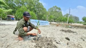 SERIBU AKAR DITANAM, SERIBU HARAPAN DITITIPKAN MPHI dan TJLM Hijaukan Pesisir Pantai Sujono, Bangun Benteng Alami untuk Masa Depan